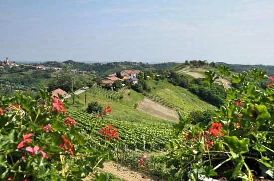 Profumi... ξενώνας Vinchio Εξωτερικό φωτογραφία